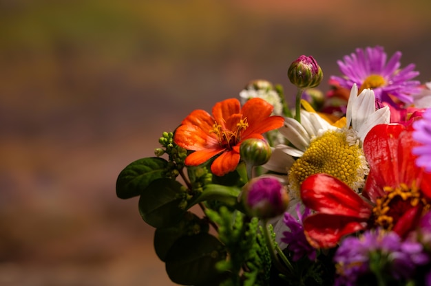 Close-up of beautiful bouquet of bright flowers