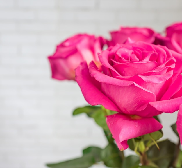 Close up of beautiful bouquet of pink roses. 