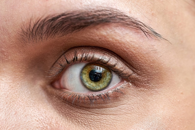 Close up of a beautiful female eye and a processed eyebrow, macro shot