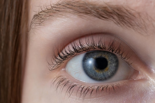 Close up of beautiful female eye with eyebrows