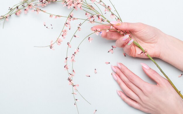 Close-up of beautiful  female hands with pink flowers. Hand care concept, anti-wrinkle, anti-aging cream, spa