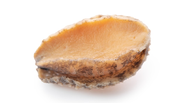 Close up of beautiful raw abalone seafood isolated on white background, clipping path cut out.