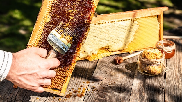 Close-up Beekeeper uncapping honeycomb with special beekeeping fork