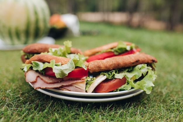 Close-up big plate with appetizing fresh sandwich on green grass