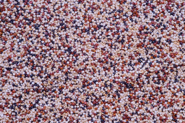 Close up of black, red and white quinoa grains background, top view.