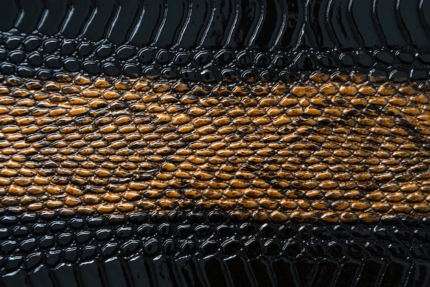 Close up of black snake texture