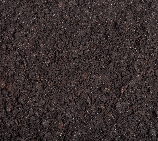 Close up of black soil