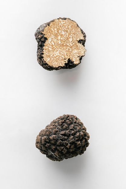 Close up of black truffle mushroom isolated on white background