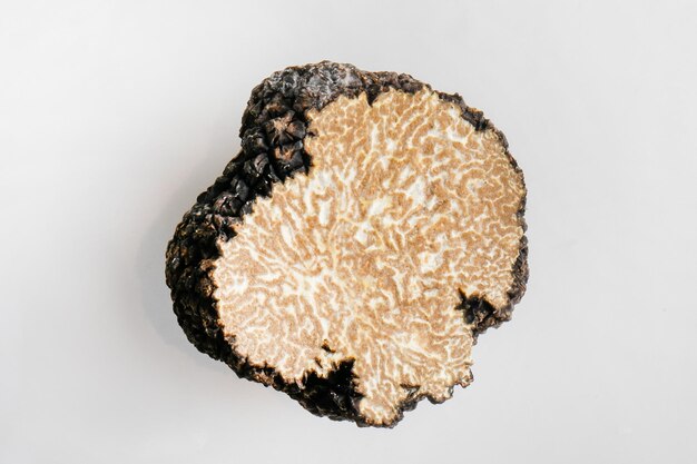 Close up of black truffle mushroom isolated on white background