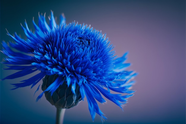 Close up of blue flower on purple background Generative AI