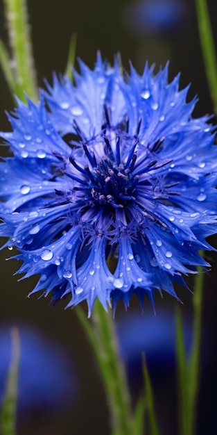 a close up of a blue flower with water droplets on it generative ai