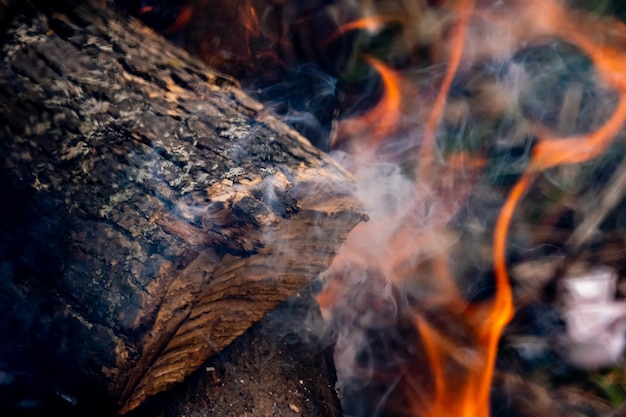 Close-up of bonfire