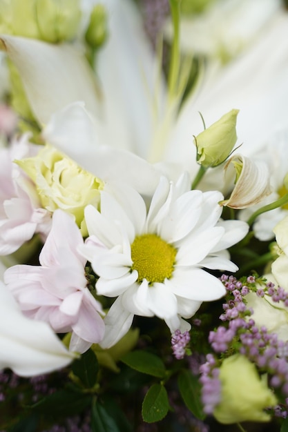 Close-up of a bouquet of white flowers. March 8 and Women's Day.