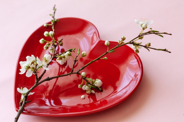 Close up of Branch of blossoming cherry