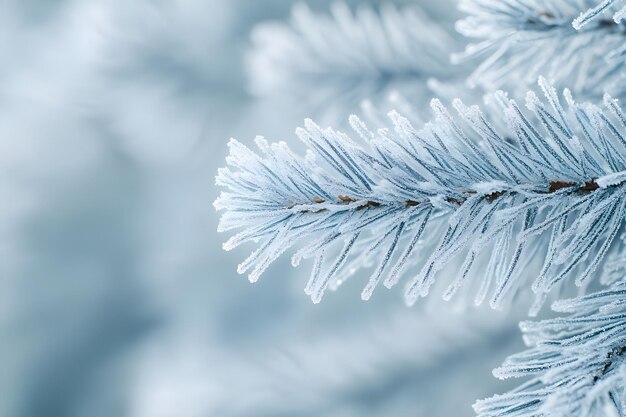 Photo a close up of a branch of a blue tree