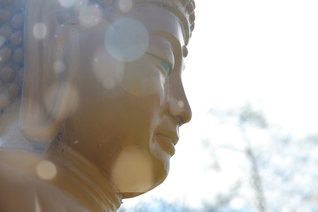  Close-up buddha's head outdoors with sun reflections