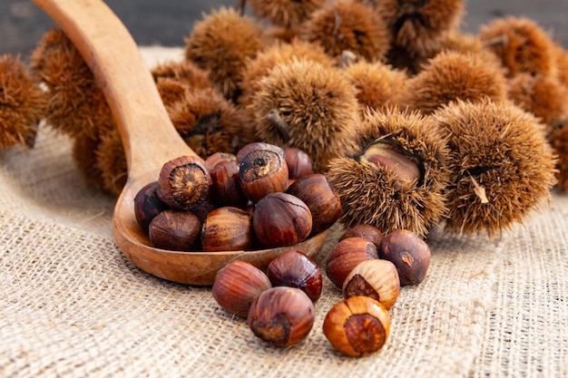 Close up bunch of chestnuts on wooden plank