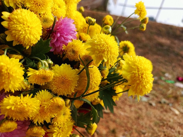 A Close Up Of A Bunch Of Flowers