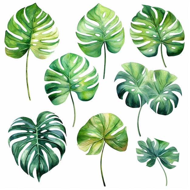 A close up of a bunch of green leaves on a white background generative ai