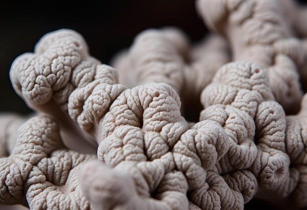 a close up of a bunch of wool that is brown