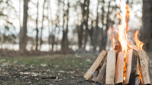 Close-up camp fire