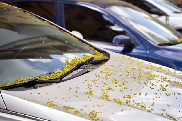 Photo close-up of car