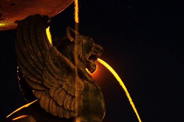 Photo close-up of caterpillar on leaf at night