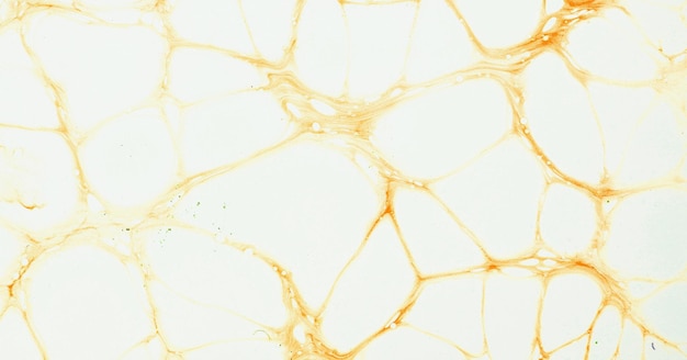 A close up of a cell wall with a brown pattern