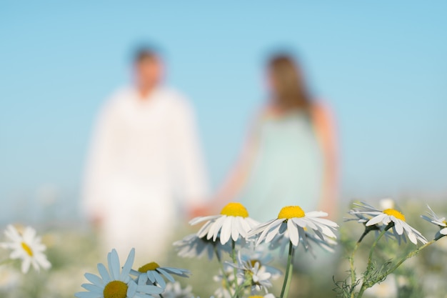 Close up on chamomiles in the meadow with couple holding hands in the back