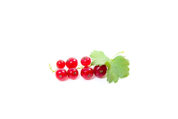 Close-up of cherries against white background