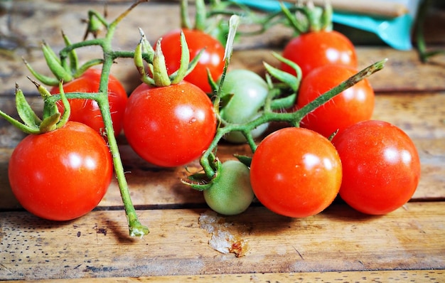 Close-up of cherry tomatoes on table