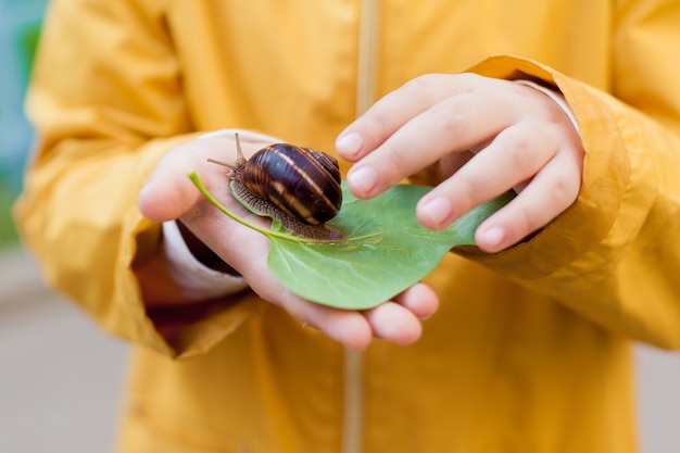 Close up of child in a yellow jacket holds a snail in his hands