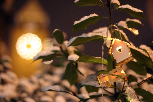 Photo close-up of christmas decorations on tree at night