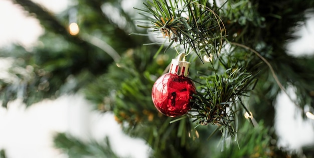 Close up of christmas tree decorations