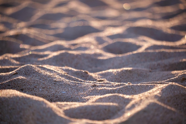 Close up of clean yellow sand surface covering seaside beach illuminated with evening light Travel and vacations concept