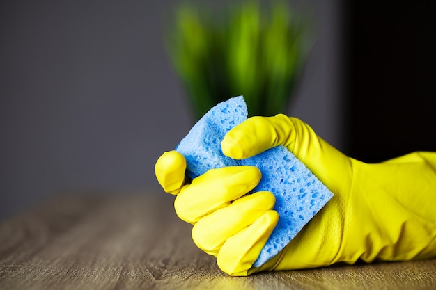 Close Up cleaning company worker hand holding sponge