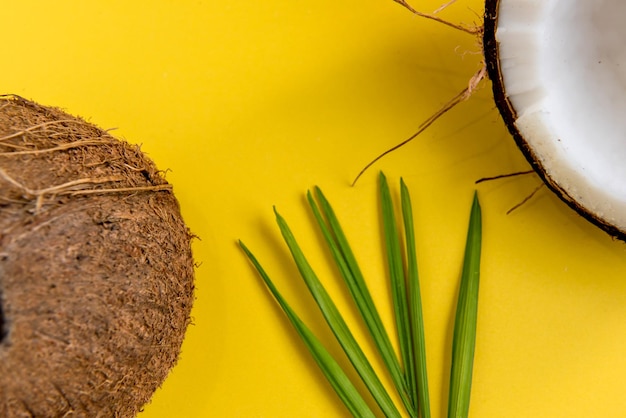 Close up of coconut and coconut leaf on yellow background