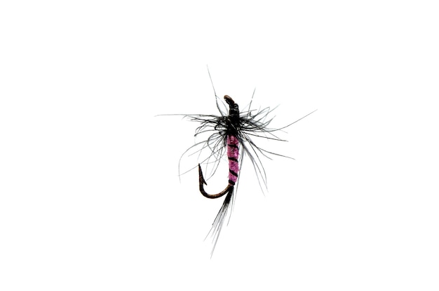 Close-up of a colorful fishing fly on white.