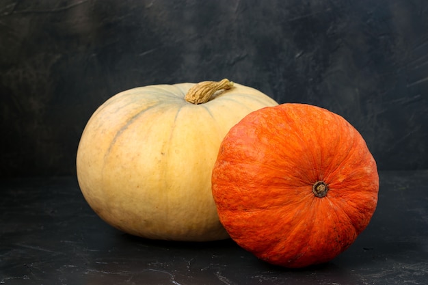 Close up on colorful pumpkins