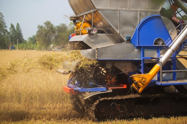 Close up Combine harvester driving on a rice field ready to be harvested