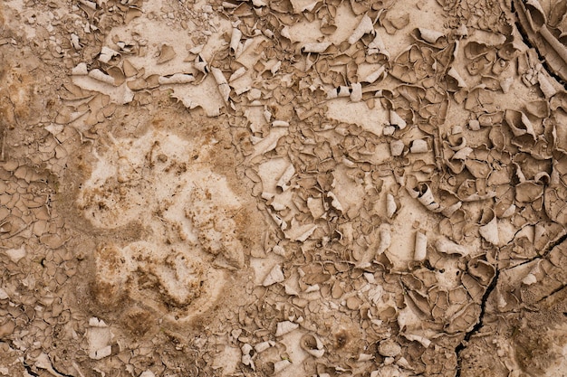 Close up of crack soil and desert in dry season textures hot summer Texture of sunny dried earth