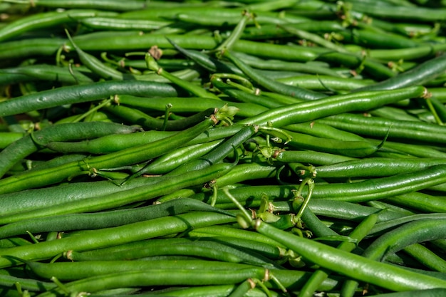 Close-up crop of dietary green beans, stacked tightly together, illuminated by the rays of the sun.