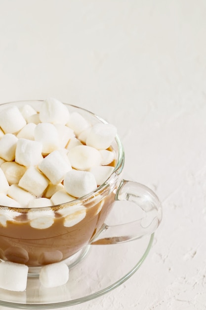 Close up of Cup of hot delicious cocoa drink with marshmallows.