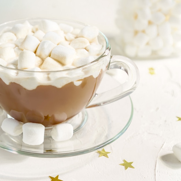 Close up of Cup of hot delicious cocoa drink with marshmallows.