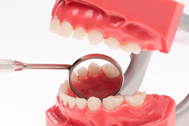 Close-up of dentures with mirror against white background