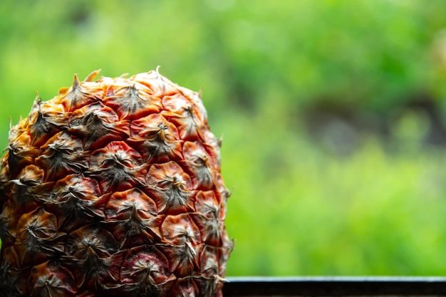 close up detail of pineapple bract without its crown on green background