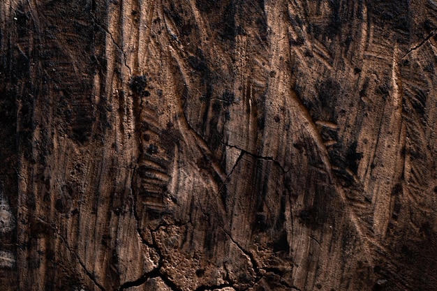 close up detail of wood texture