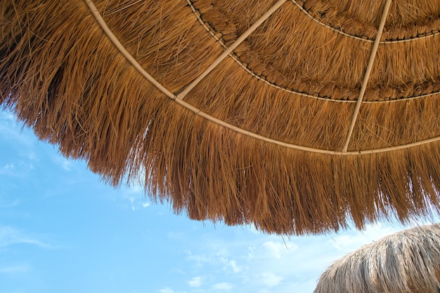 Close up detail of yellow straw roof against blue sky