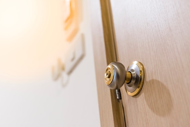 Close-up of a doorknob mounted on a wooden door.