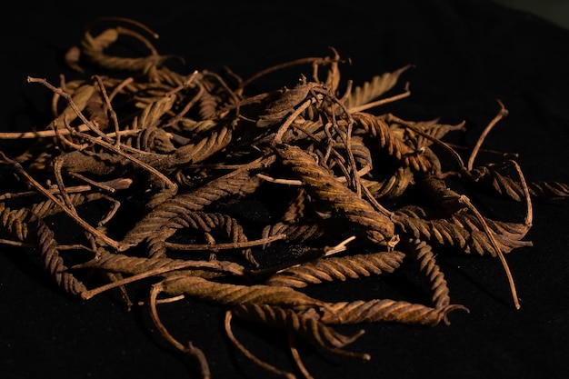 Photo close-up of dried plant against black background